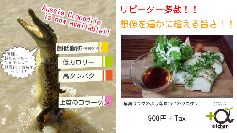 「ワニ肉」|プラスアルファキッチン(プラスアルファキッチン)のメニュー|居酒屋