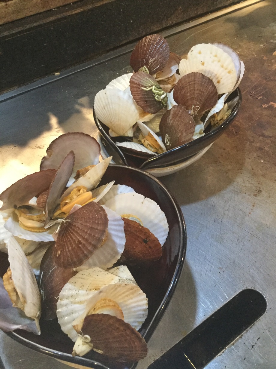 青森からホタテの稚貝 野菜居酒屋 玄氣