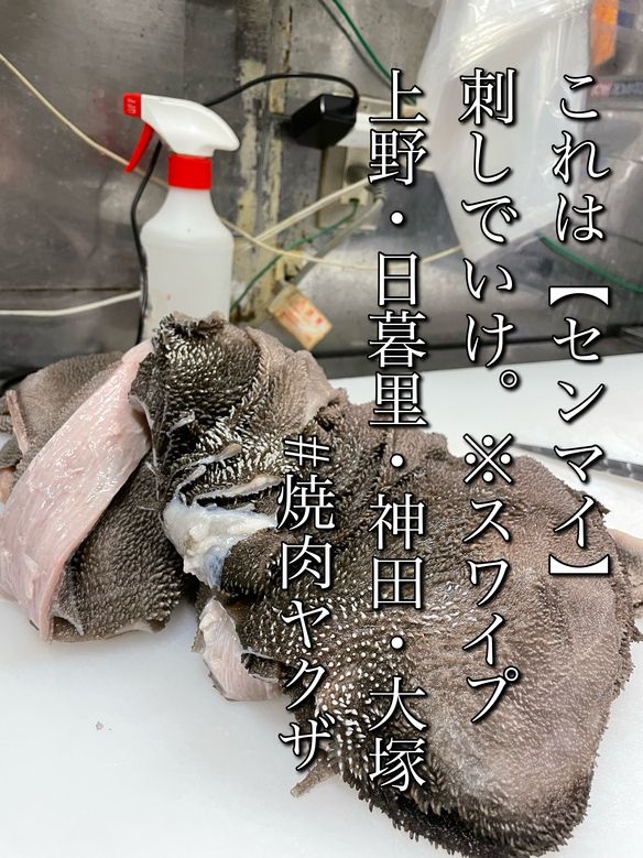 焼肉 ホルモン料理とらじ亭 タバコが吸える 居酒屋 昼飲み 酒飲み放題 焼肉ヤクザ とらじてい からのお知らせ 焼肉