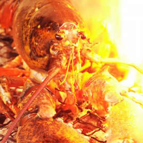 高級食材のオマール海老を1匹まるごと炭焼きに!!絶品です!