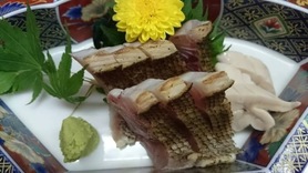 季節の鮮魚 刺身 (旬の食材にこだわっている為、日替わりです)