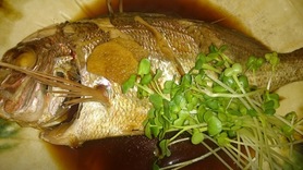 お肉だけじゃ、ありません。その日の良いものしか、仕入れません。