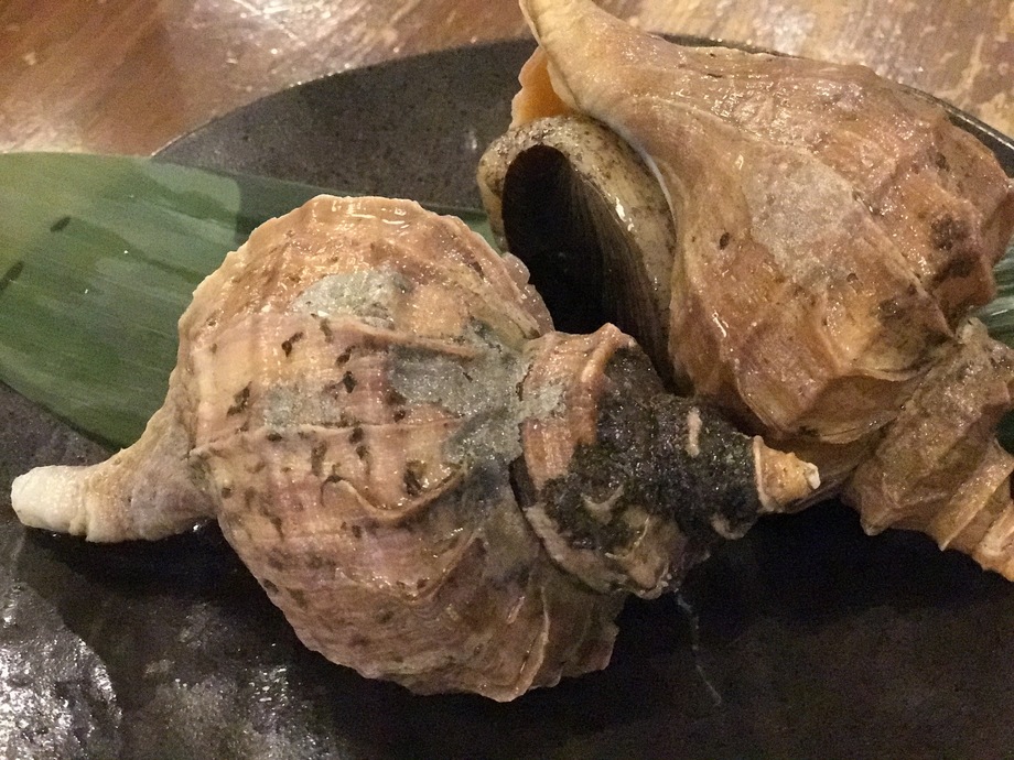 北海道厚岸 つぶ貝 コリコリ食感が楽しめる つぶ貝が入荷です つぶ貝の中でも 真つぶと呼ばれる高級品です