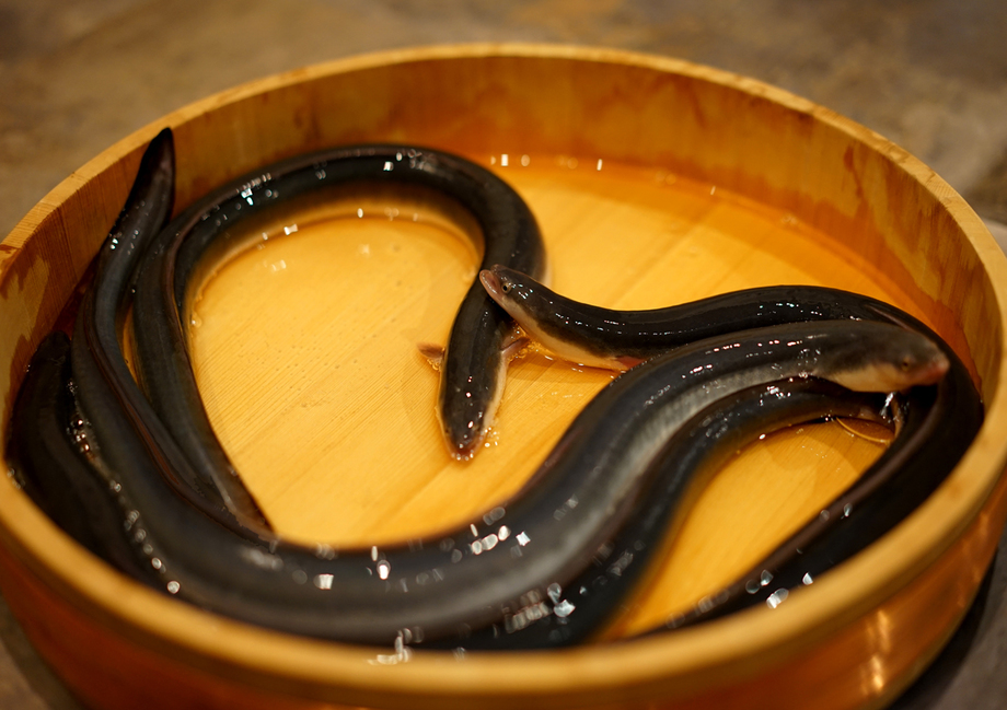 流木自慢の身の大きな青うなぎを毎日仕入れています 一日のご提供数に限りがございますのでお早目のご注文を 町田 うなぎ 流木 まちだ