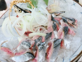 季節の刺身780円から