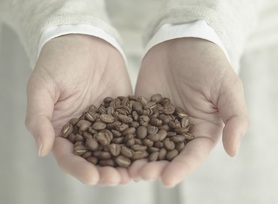 310.コーヒーで使用する豆は、店内工房(焙煎機)にて、その日にお出しする豆を職人が朝から焼いています。