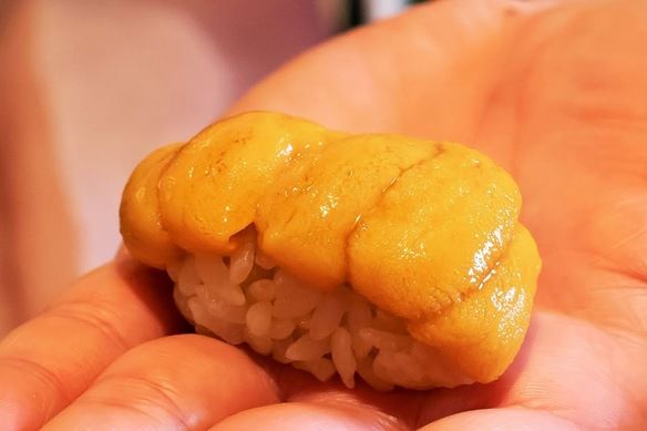 新宿　誠の写真