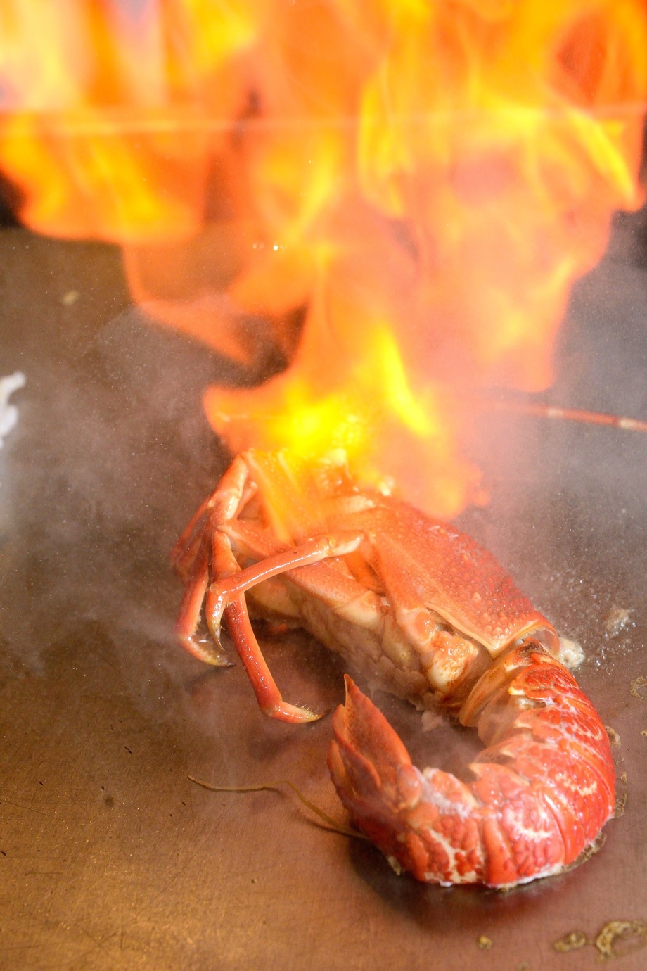 活伊勢海老のフランベ 銀座和縁 ぎんざわえん の写真 鉄板焼き
