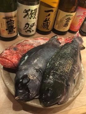 厳選された食材で熟成魚を 氷温熟成中