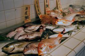 毎日空輸される、日本海の海の幸。昼間は魚屋さんとして販売をしております!