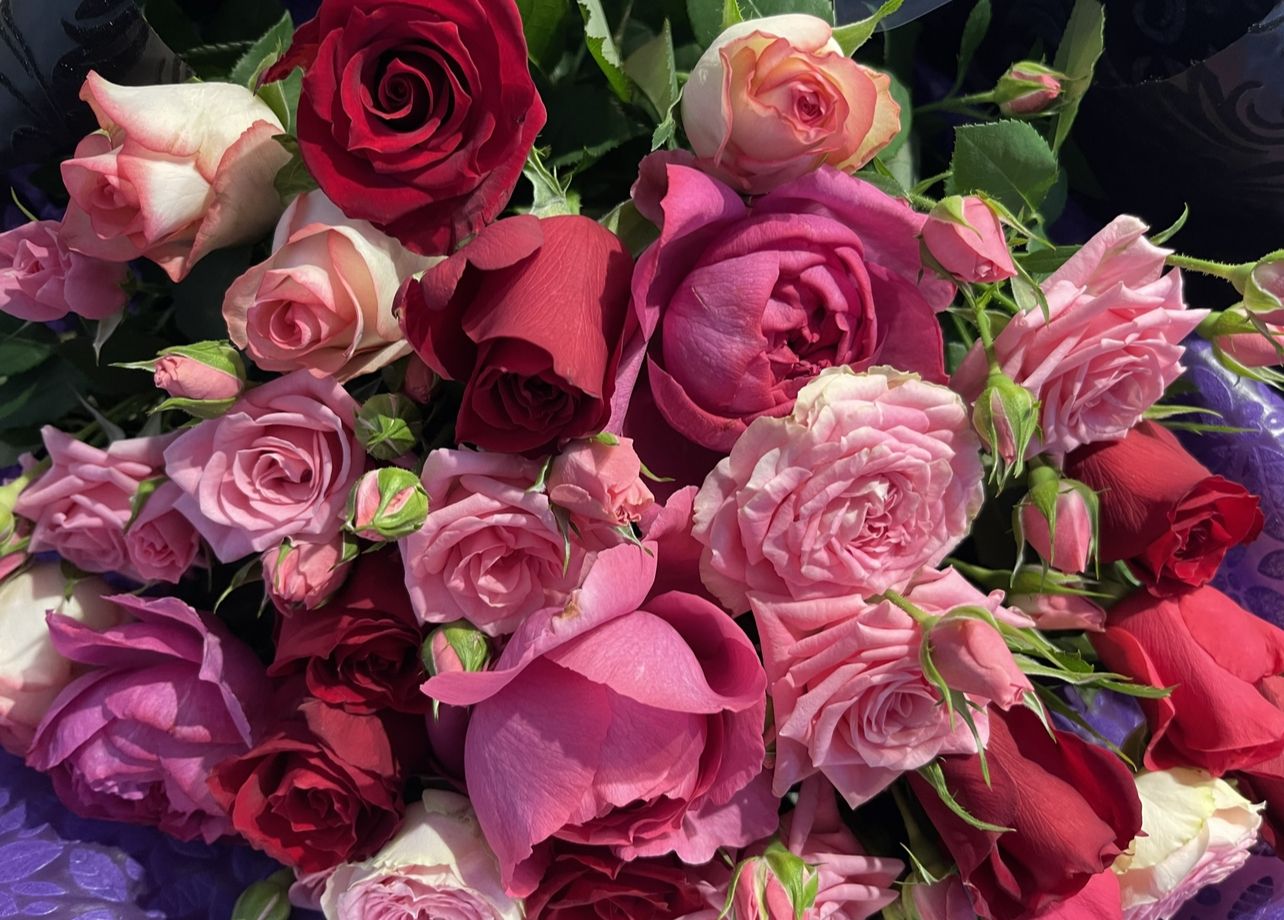 スズキ薔薇園(スズキバラエン)|その他
