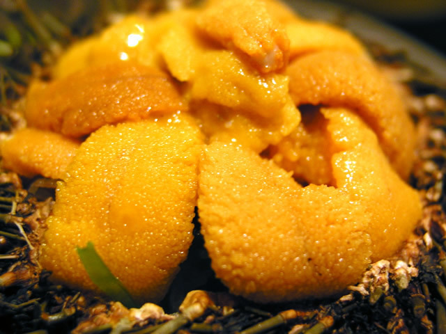 クリーミーな味わいが人を虜に お寿司からパスタまでうにをとことん楽しめる船橋のお店4選 Favy ファビー