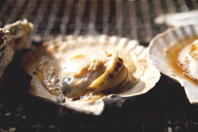 磯丸水産 西新宿1丁目店 Favy ファビー