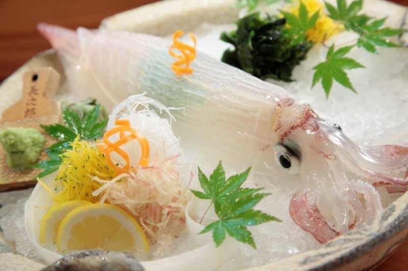 銀座 魚好きも認めた味 毎朝届く呼子のイカが姿造りで味わえる 櫓庵治 Favy ファビー 銀座 魚好きも認めた味 毎朝届く呼子のイカが姿造りで味わえる 櫓庵治 Favy ファビー