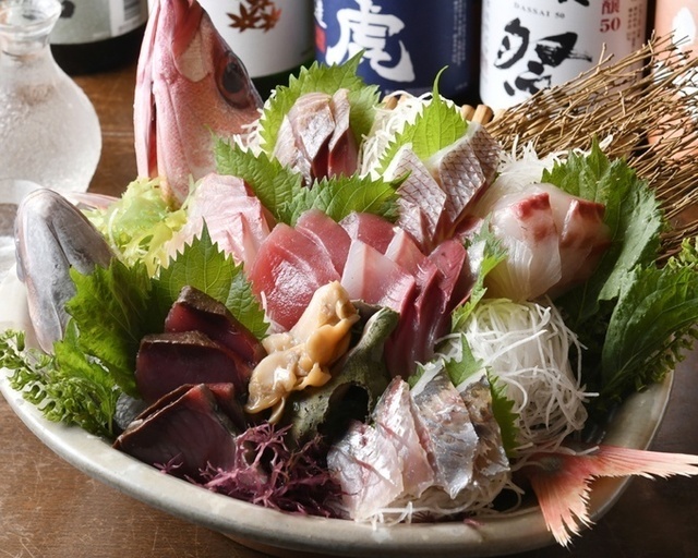 【新横浜】地魚どっさりの9種大漁盛りが1人495円!コスパ抜群の居酒屋『OHASHI』