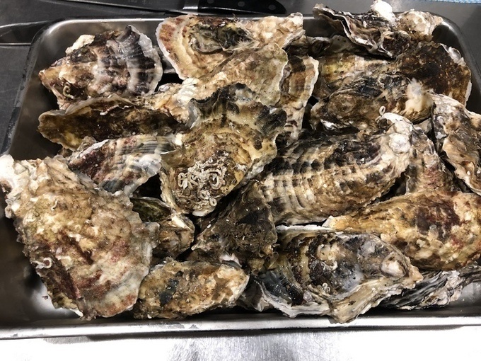 牡蠣のガンガン焼き