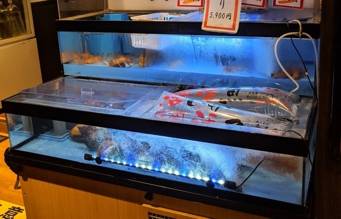 新宿駅西口の海鮮居酒屋『遠藤水産』の水槽
