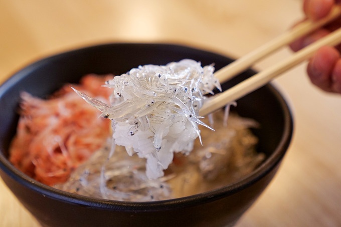 沼津港の丼くらべの生桜エビ生シラス二色丼