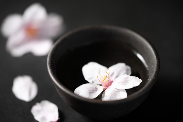 春の日本酒(イメージ)